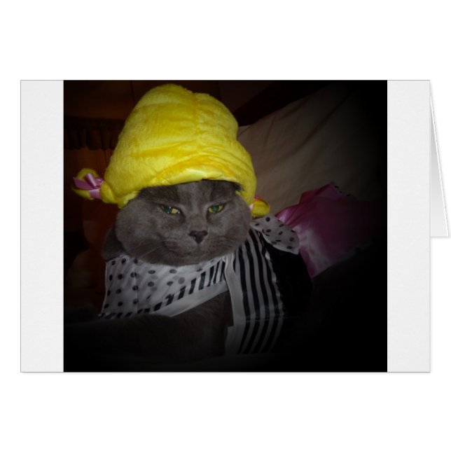 Sock Hop Kitty (Anverso (Horizontal))