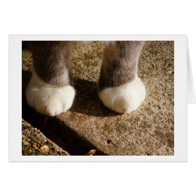 Socks coincidentes (Anverso (Horizontal))