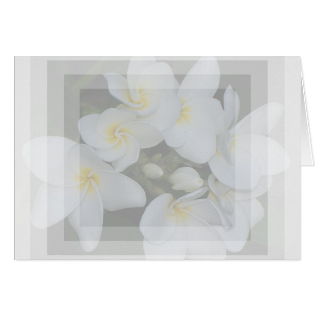 soft&sweet (Anverso (Horizontal))