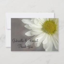 Soft White Daisy on Gray Boda Gracias Notas