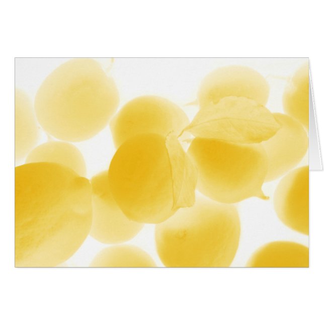 sogno di limone (Anverso (Horizontal))