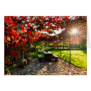 Sol a través de hojas de otoño, Croacia