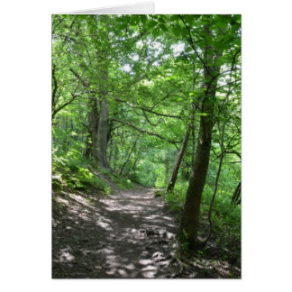 Sol a través de los árboles