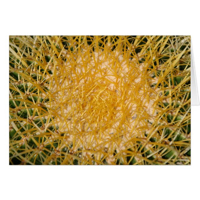 Sol de Cactus (Anverso (Horizontal))