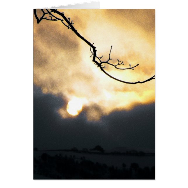 Sol de invierno (Frente)