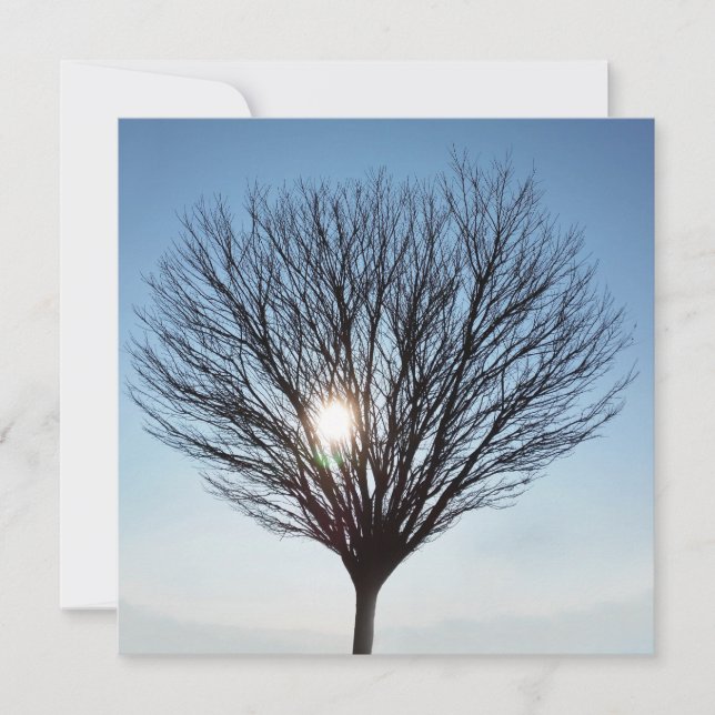 sol de invierno (Anverso)