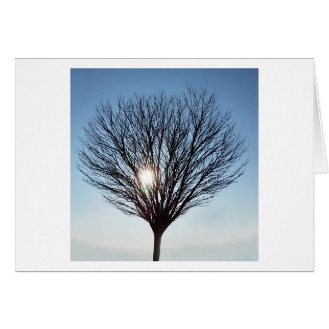 sol de invierno (Anverso (Horizontal))