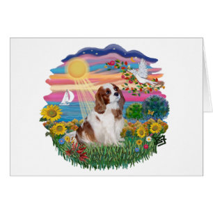 Sol de otoño - Cavalier de Blenheim