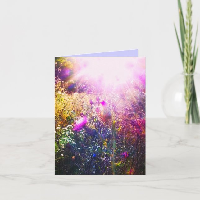 SOL EN ESTA TARJETA ORIGINAL DE RECIBIMIENTO (Anverso)