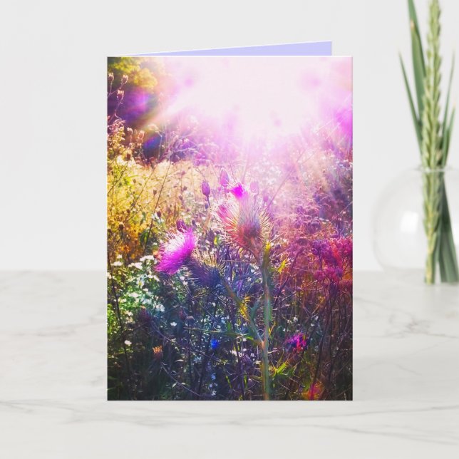 SOL EN ESTA TARJETA ORIGINAL DE RECIBIMIENTO (Anverso)