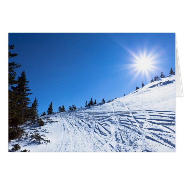 Sol invernal 4 (Anverso (Horizontal))