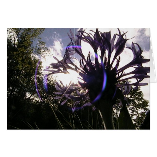 sol universal (Anverso (Horizontal))