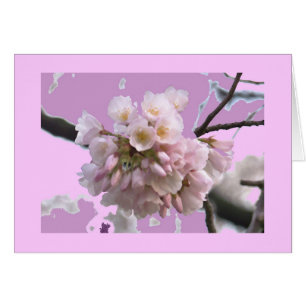 Sola flor de cerezo