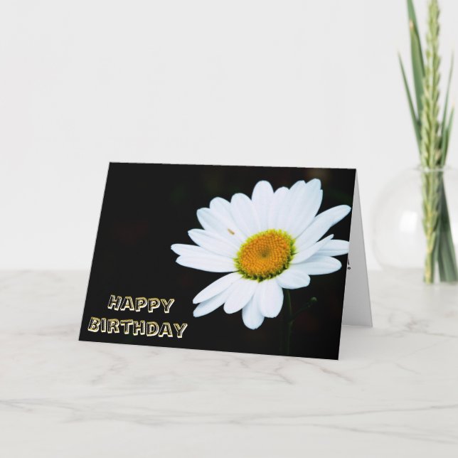 Sola tarjeta de cumpleaños de la margarita (Anverso)