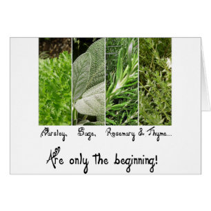 Solamente la tarjeta del principio