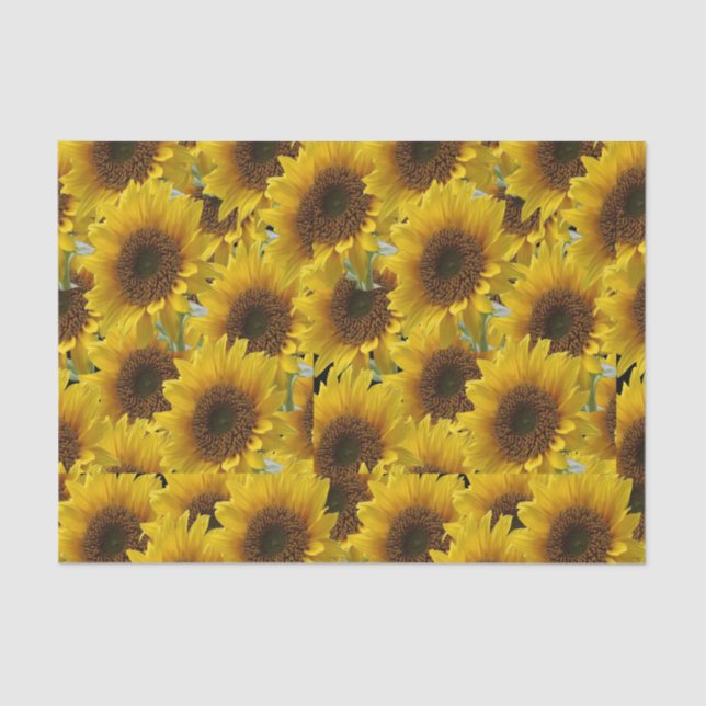 Solares de papel de tejido decorativo (Anverso)