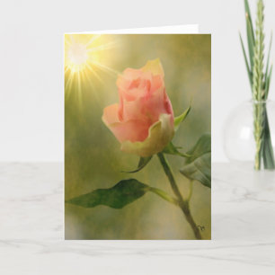 Solas tarjetas color de rosa rosadas