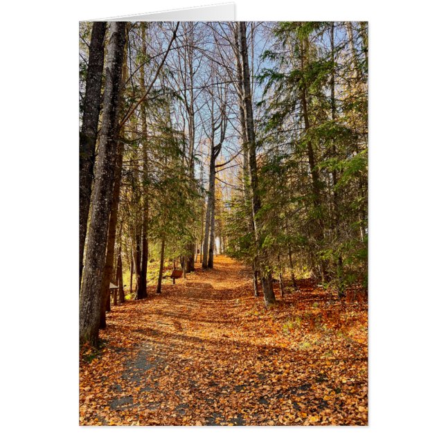 Soldotna Creek Park Otoño - Tarjeta de arte de 5"  (Frente)