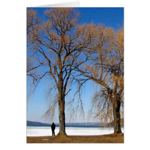 Soledad