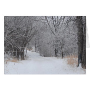 Soledad de Invierno
