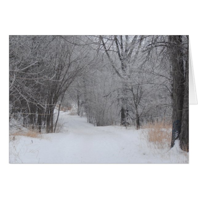 Soledad de Invierno (Anverso (Horizontal))