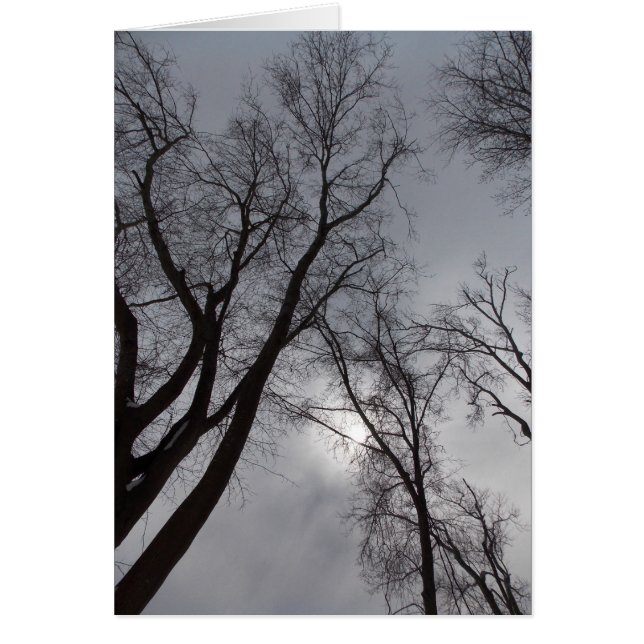 Soledad del invierno (Frente)