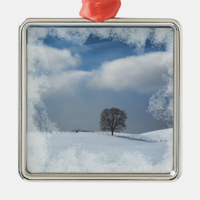 Soledad del invierno del ornamento del navidad (Frente)