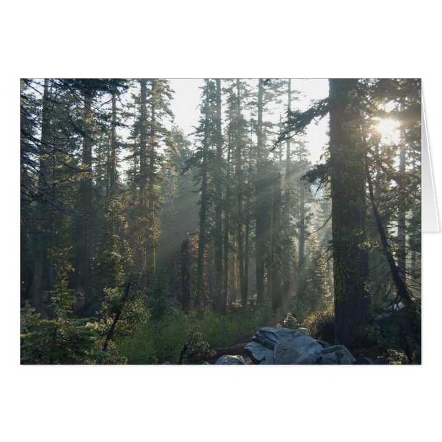 Soledad Sunlit (Anverso (Horizontal))