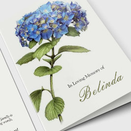 Solidaridad Blue Hydrangea Funeral Gracias