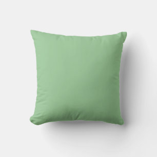 sólido pastel de marisco verde almohada azul claro