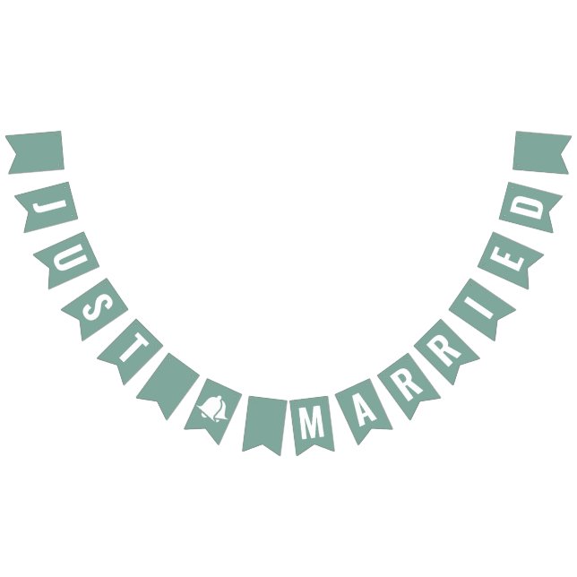 Solo banderas de Bungalows Sage Green Boho casadas (Todo)