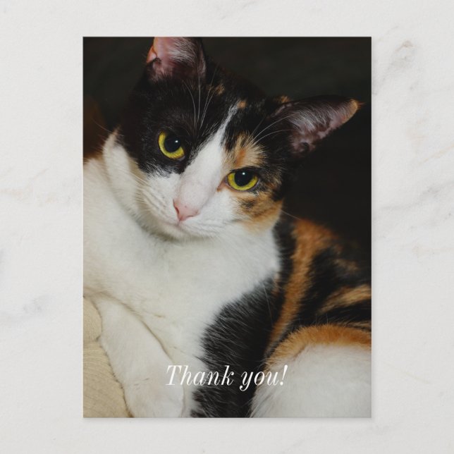 Solo Colgando Por Agradecer Tarjeta Postal (Anverso)