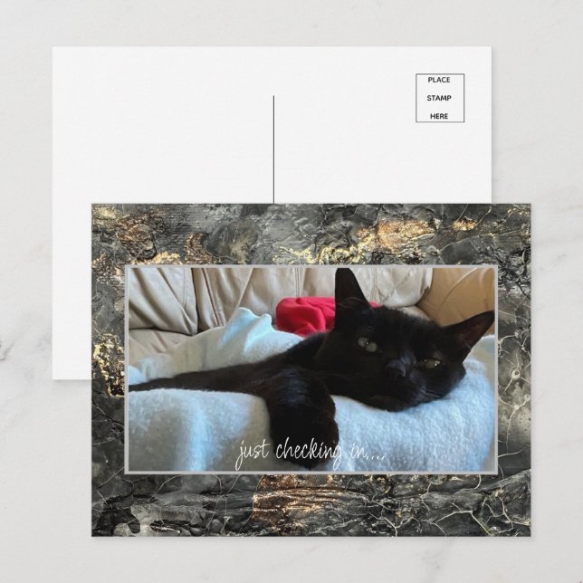 Sólo comprobando la tarjeta postal negra (Anverso / Reverso)