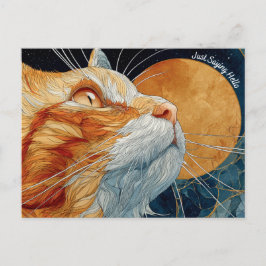 Sólo digo postal de gatos