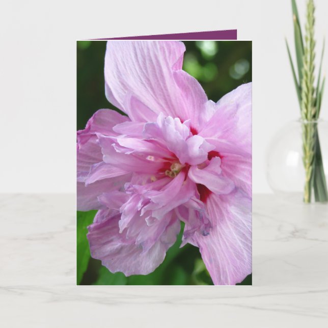 Sólo digo tarjeta de saludo de flores (Anverso)