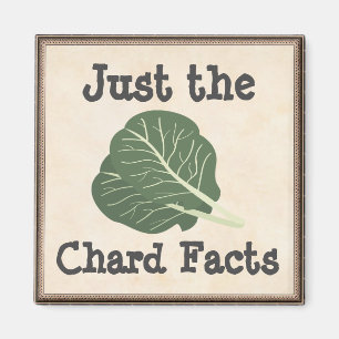 Sólo el imán de los hechos de Chard