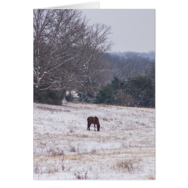 Solo En La Nieve (Frente)