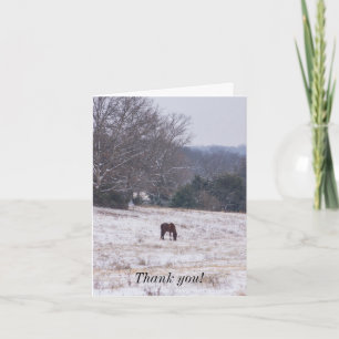 Solo En La Tarjeta De Gracias De Nieve