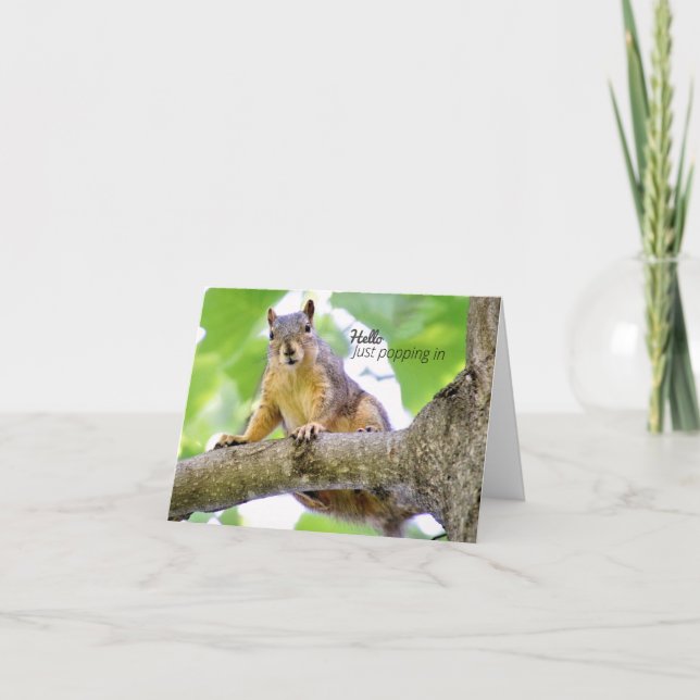 Sólo entra con tarjeta de deseos de cumpleaños (Anverso)