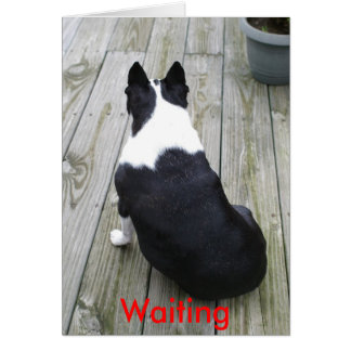 Solo esperando..., esperando.