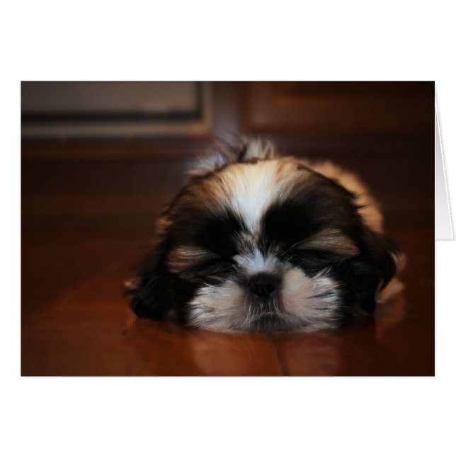 Solo estoy desangrando mi tarjeta de ojos en blanc (Anverso (Horizontal))