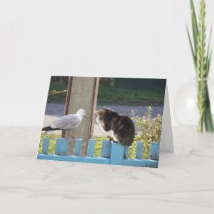 Solo gatos y gatitos - tarjeta en blanco