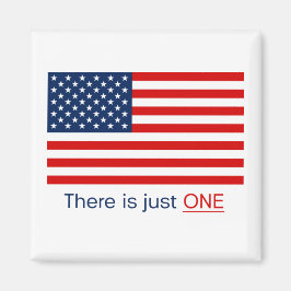 Solo hay una bandera estadounidense. Imán