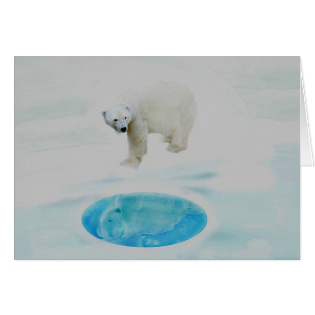 Solo los osos polares (Anverso (Horizontal))