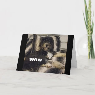 SOLO NO PUEDE CREER QUE SEA UNA TARJETA DE "30"