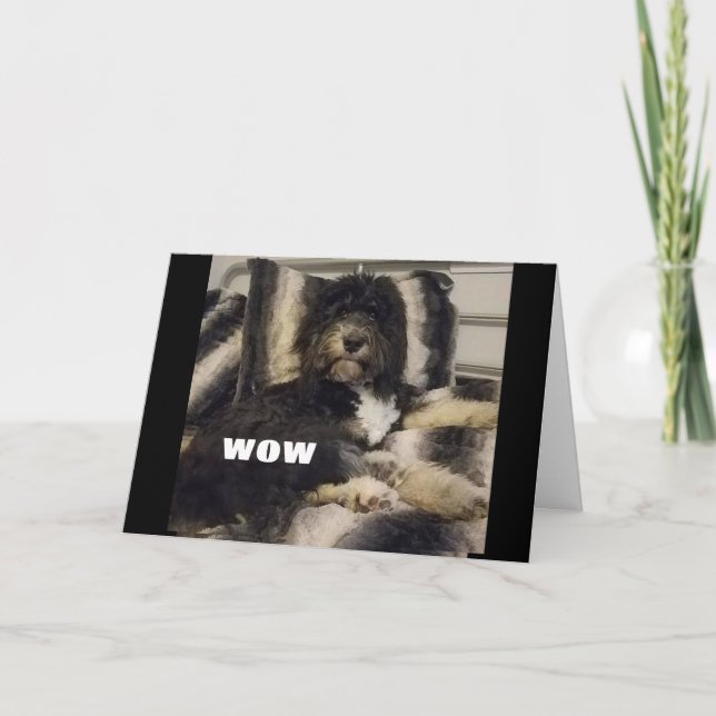 SOLO NO PUEDE CREER QUE SEA UNA TARJETA DE "30" (Anverso)