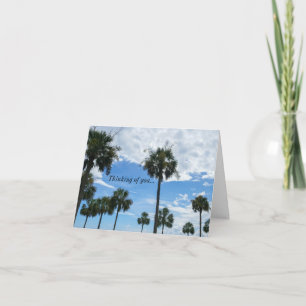 Solo Palmeras Pensando En Tu Tarjeta