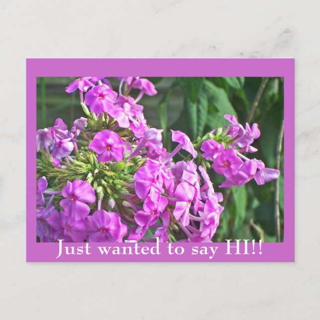 Solo quería decir HI!! Postal (Anverso)