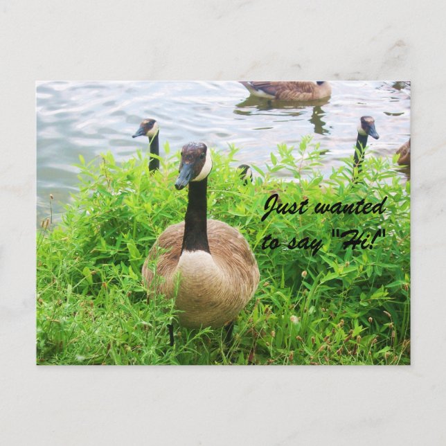 SOLO QUERÍA DECIR "¡HOLA!" postal (Anverso)