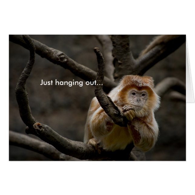 Sólo salir... (Anverso (Horizontal))